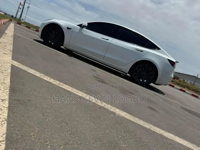 Tesla Model 3 2023 Gris