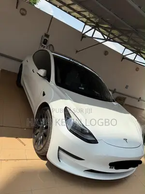 Tesla Model 3 2023 Gris