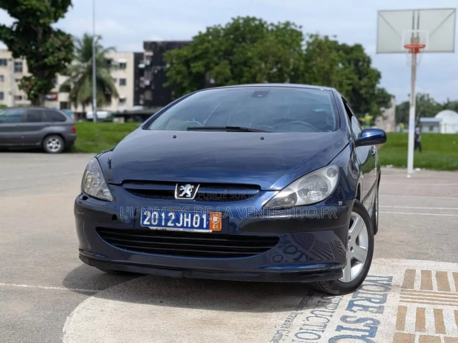 Peugeot 307 1.6 D 2004 Bleu
