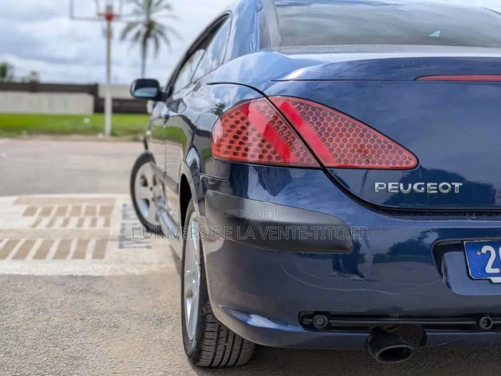 Peugeot 307 1.6 D 2004 Bleu