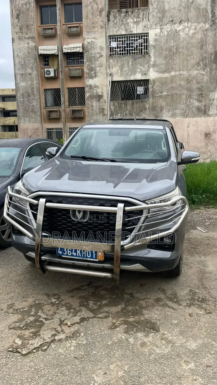 Changan Hunter Plus 2.0 Petrol 4x4 2022 Gris