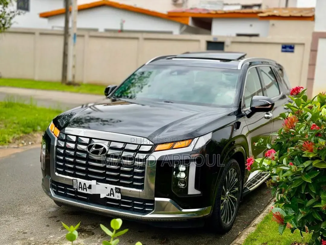 Hyundai Palissade 2020 Noir