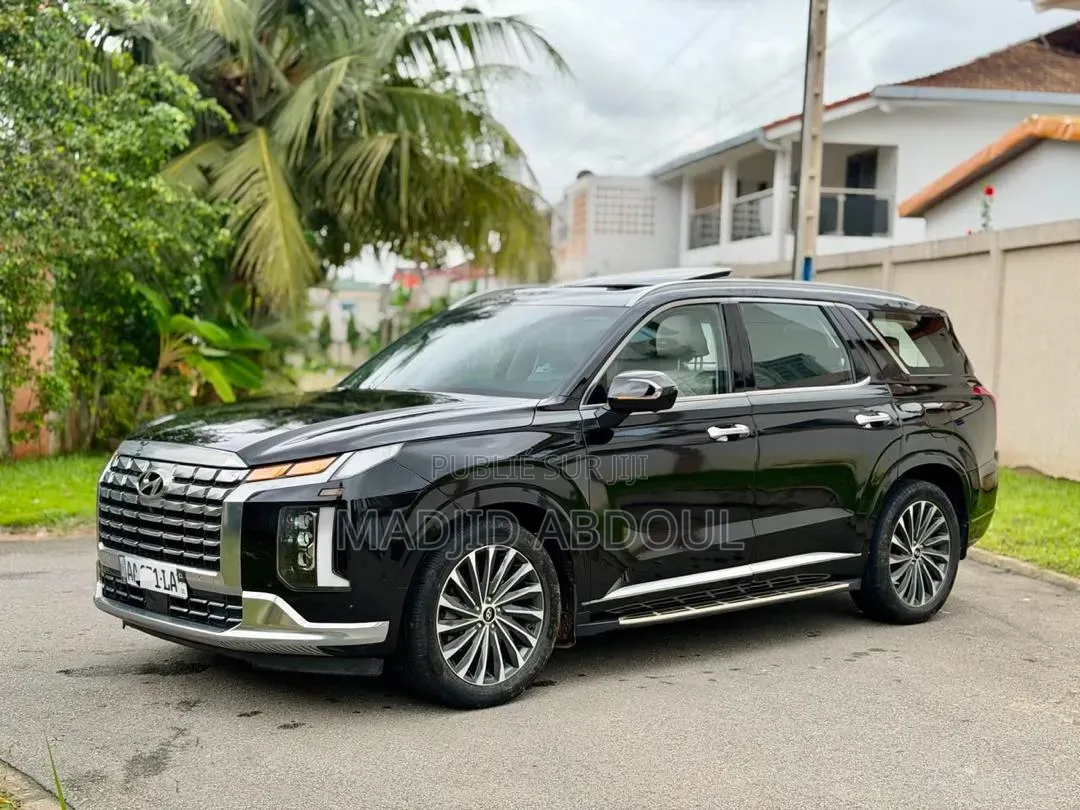 Hyundai Palissade 2020 Noir