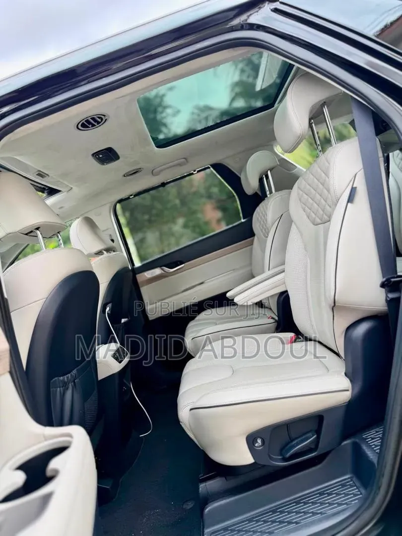 Hyundai Palissade 2020 Noir