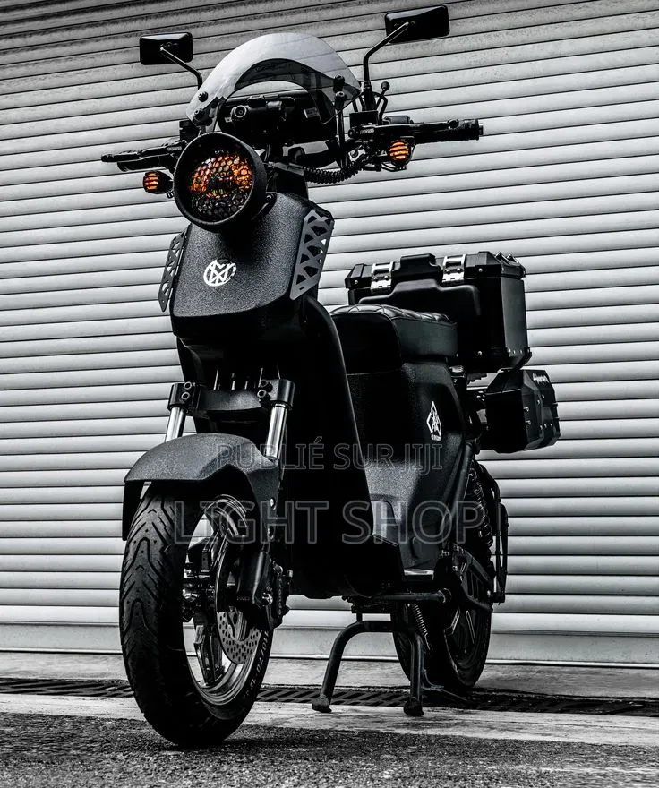 Nouveau Arche Vector 2025 Blanc