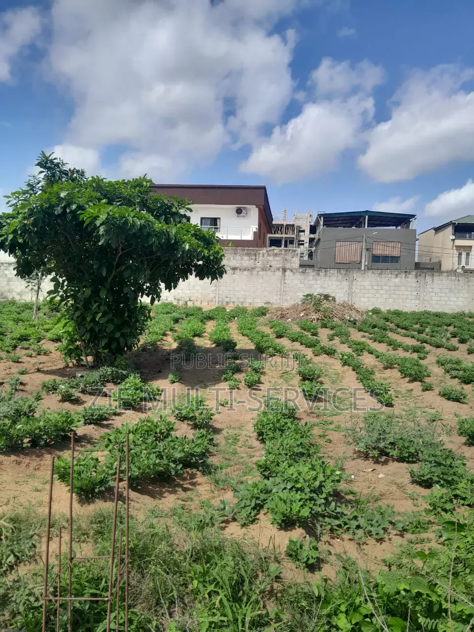 Terrain en Vente