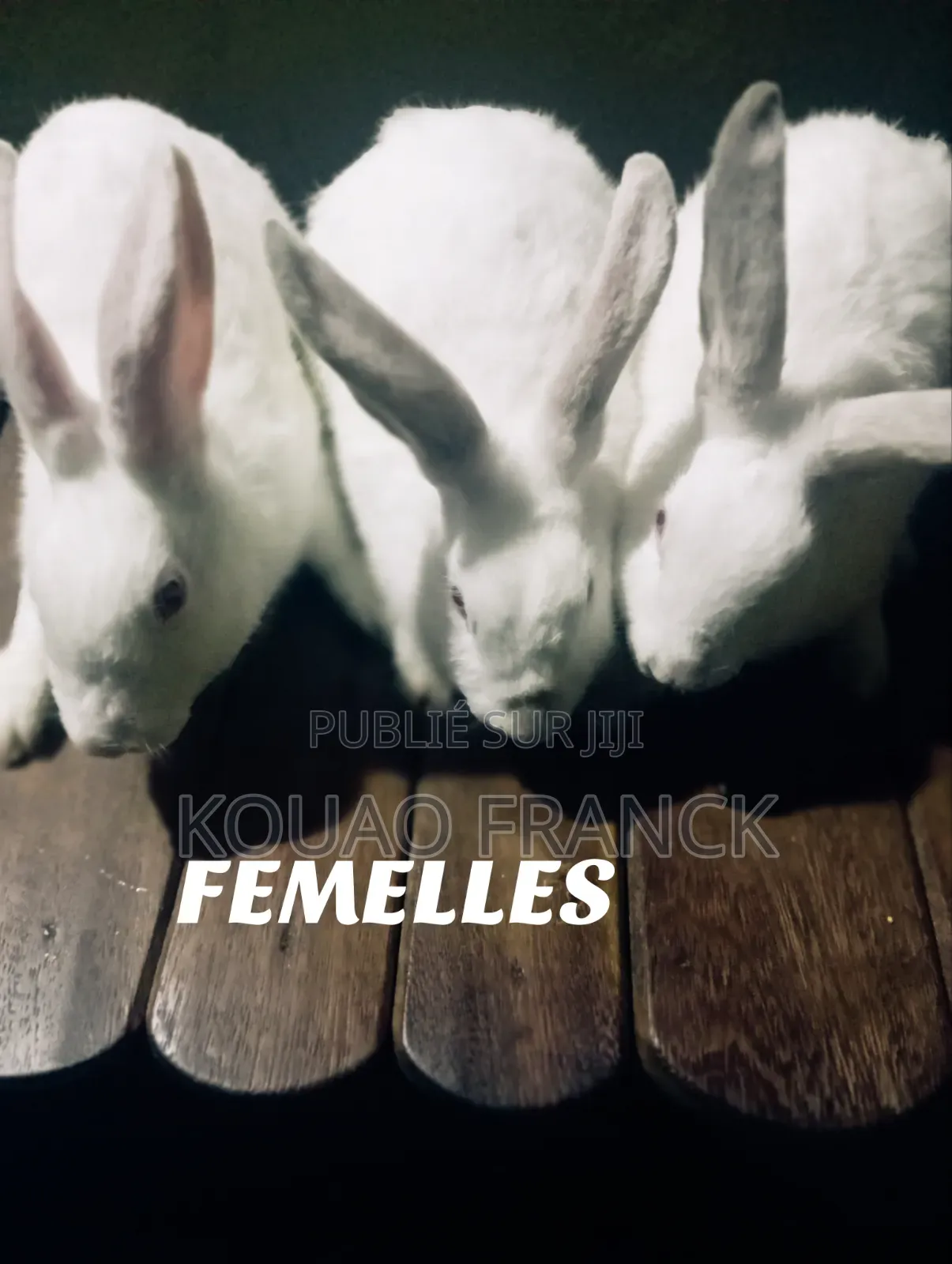 La Ferme Acka Toujours La Performance Absolue