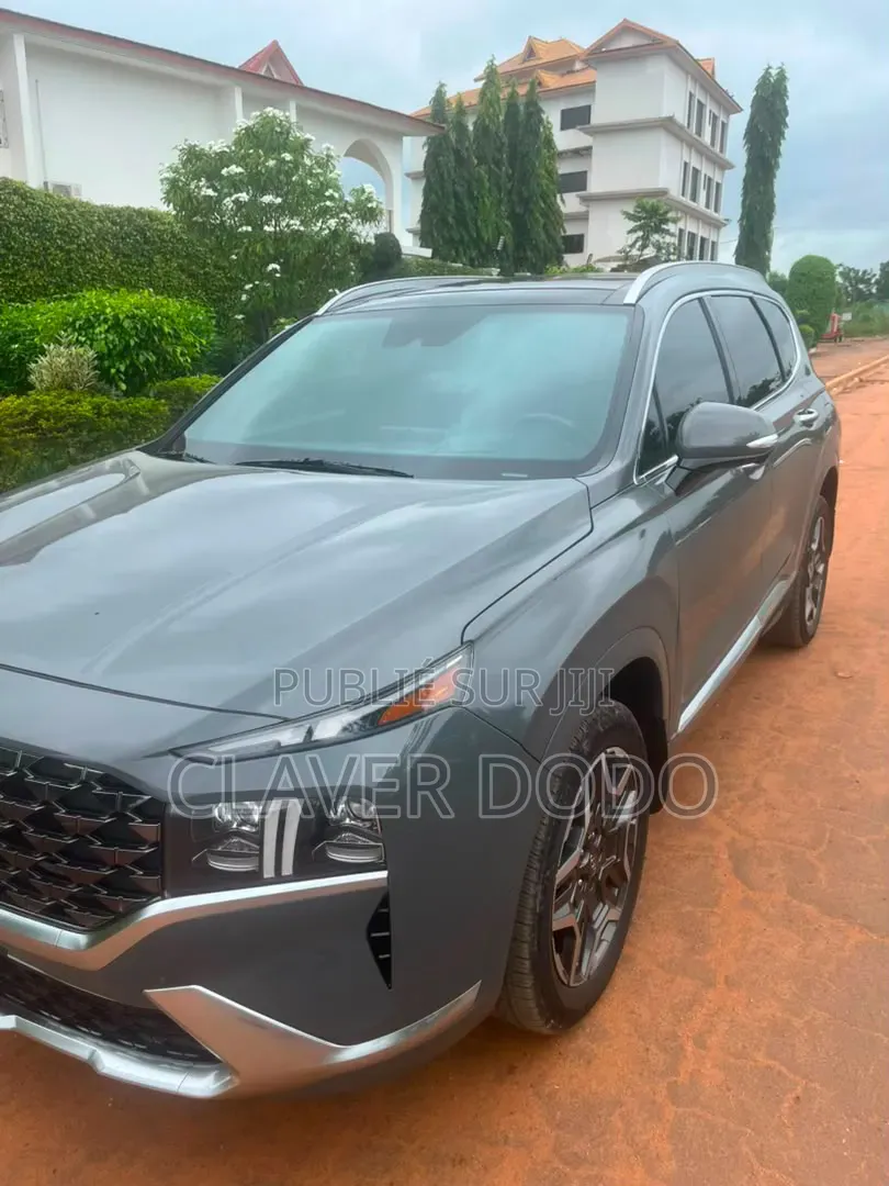 Hyundai Santa Fe 2023 Gris