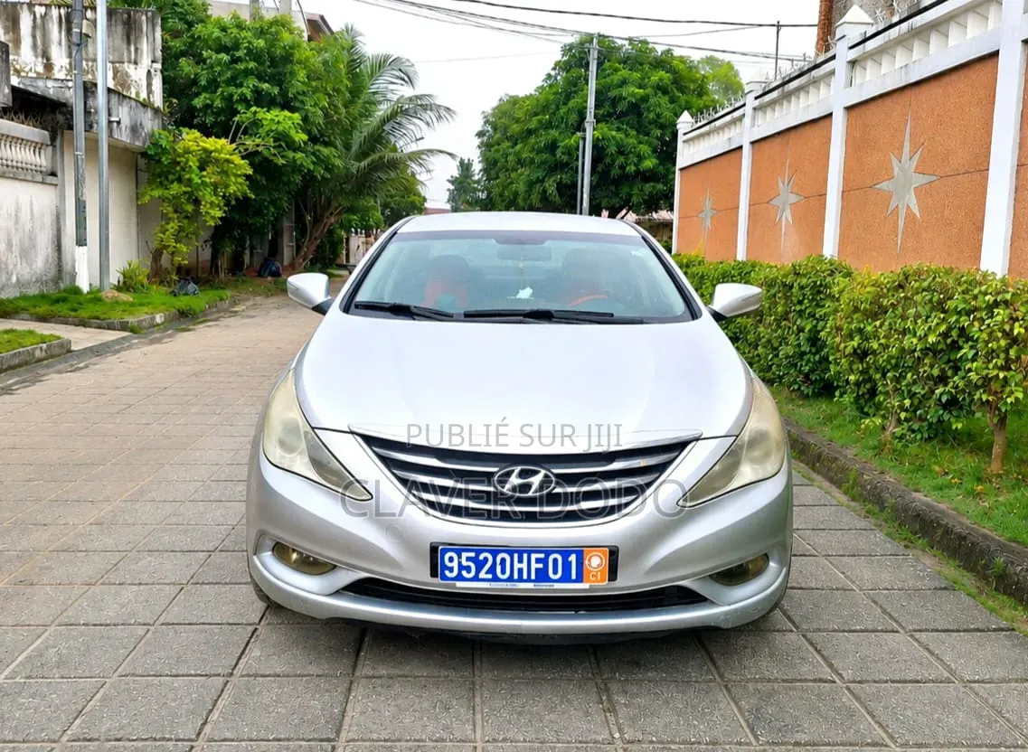 Hyundai Sonata 2012 Gris