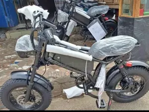 Vélo Électrique