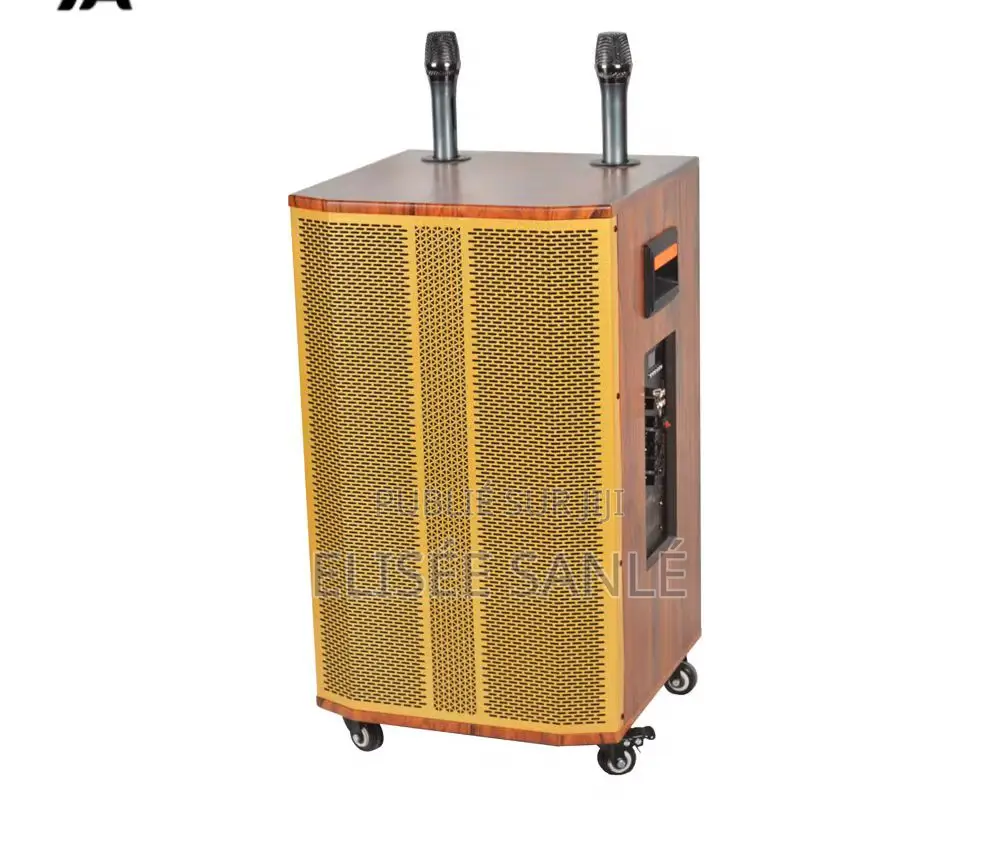 Haut Parleur _ Rechargeable_ + 2 Micro À Pile _ Connectivité Bluetooth