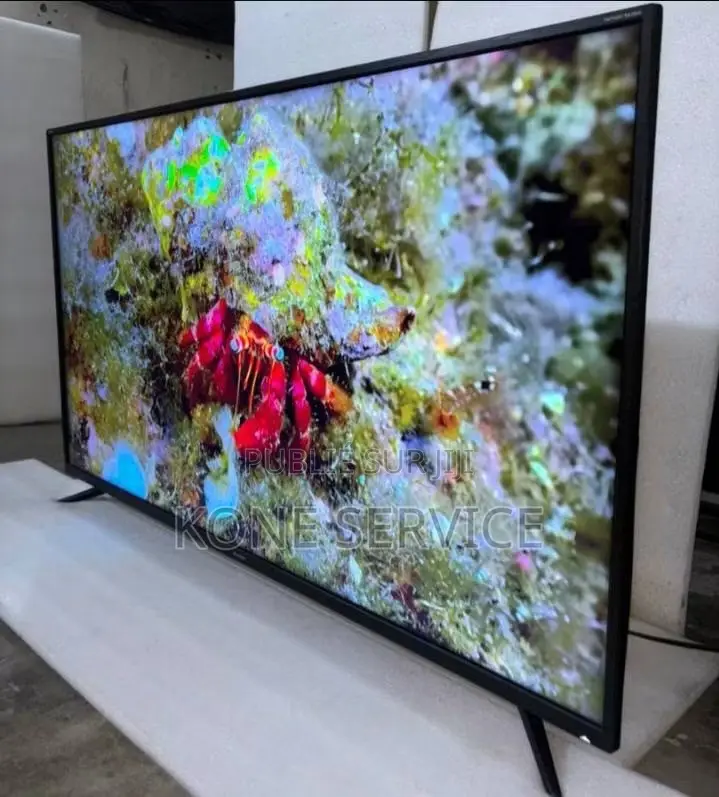 Télévision