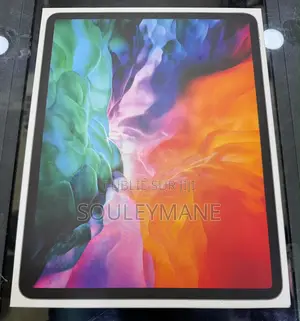 Apple iPad Pro 11 (2020) 256 GB Gris