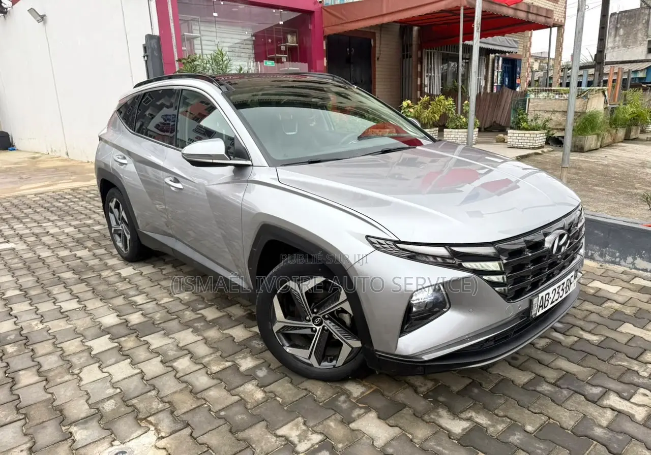 Hyundai Tucson 2023 Gris