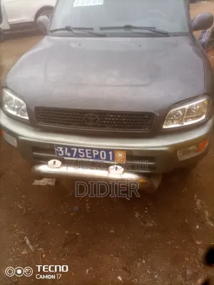 Toyota RAV4 2020 Gris