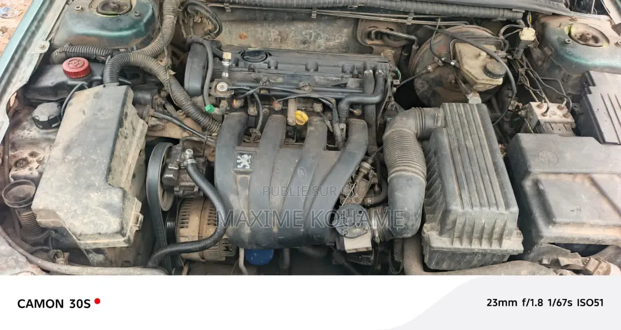 Peugeot 406 2003 Vert