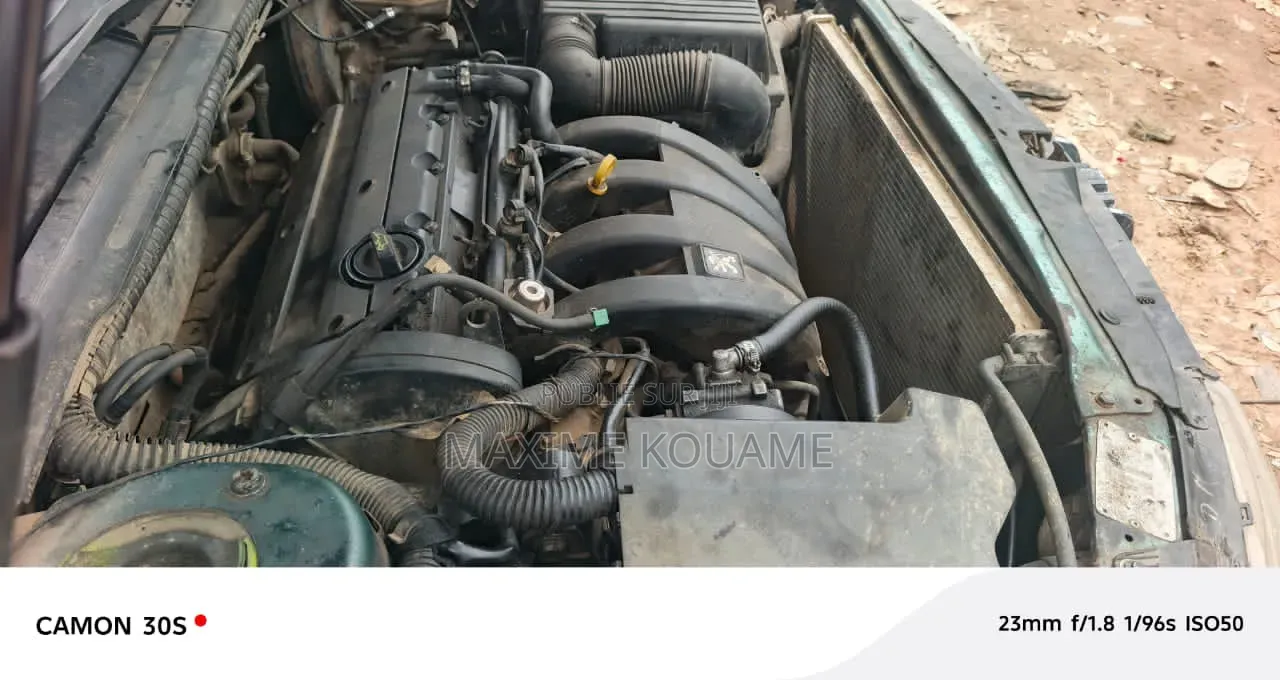 Peugeot 406 2003 Vert