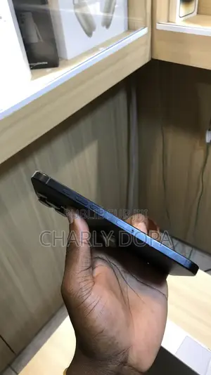 Apple iPhone 16 Pro Max 256 GB Noir