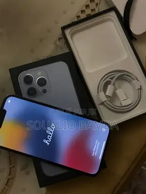 Nouveau Apple iPhone 13 Pro Max 128 GB Bleu