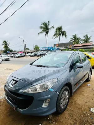 Peugeot 307 2000 Gris