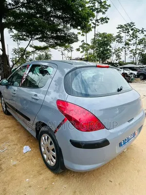 Peugeot 307 2000 Gris