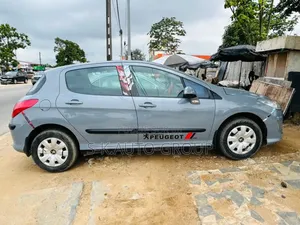 Peugeot 307 2000 Gris
