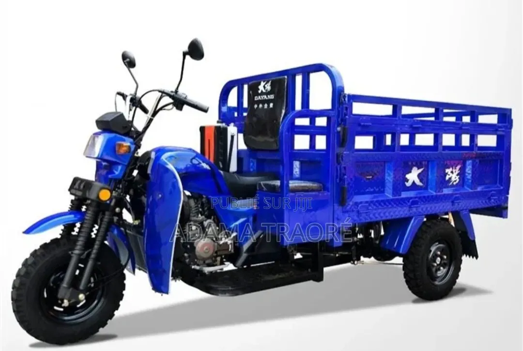 Nouveau Apsonic AP250 PRO 2022 Bleu
