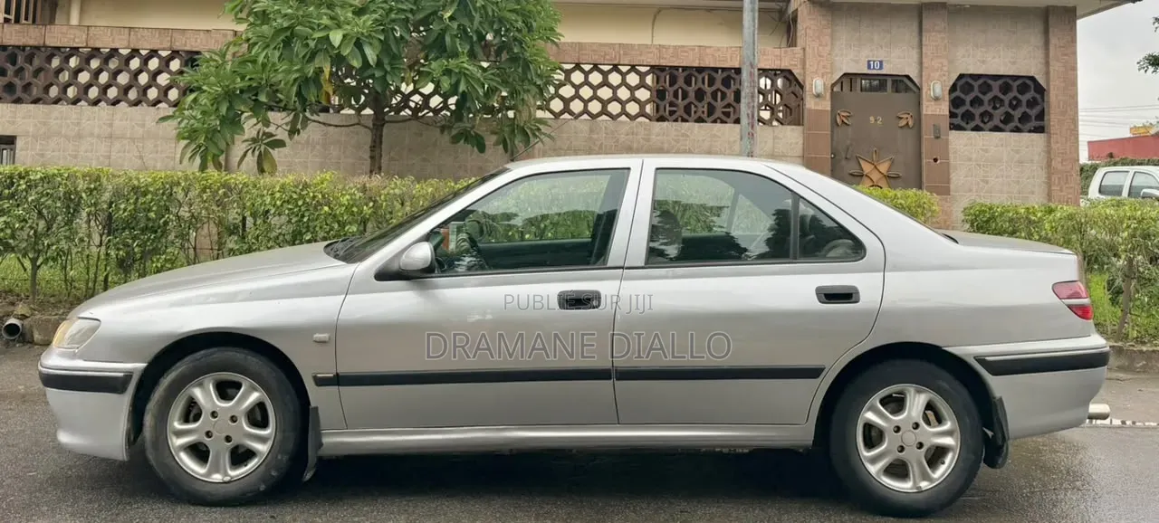 Peugeot 406 2002 Gris