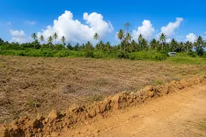 Vente Terrain À Audoin-Santé