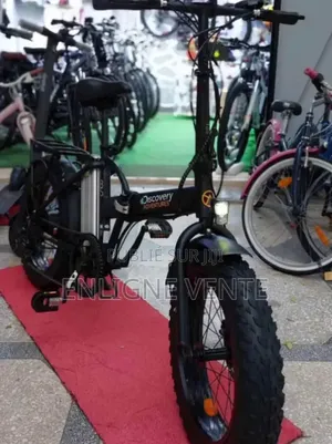 Vélo Électrique