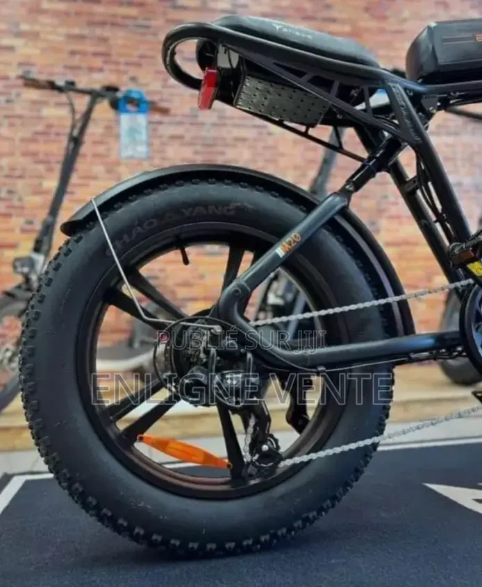 Vélo Électrique