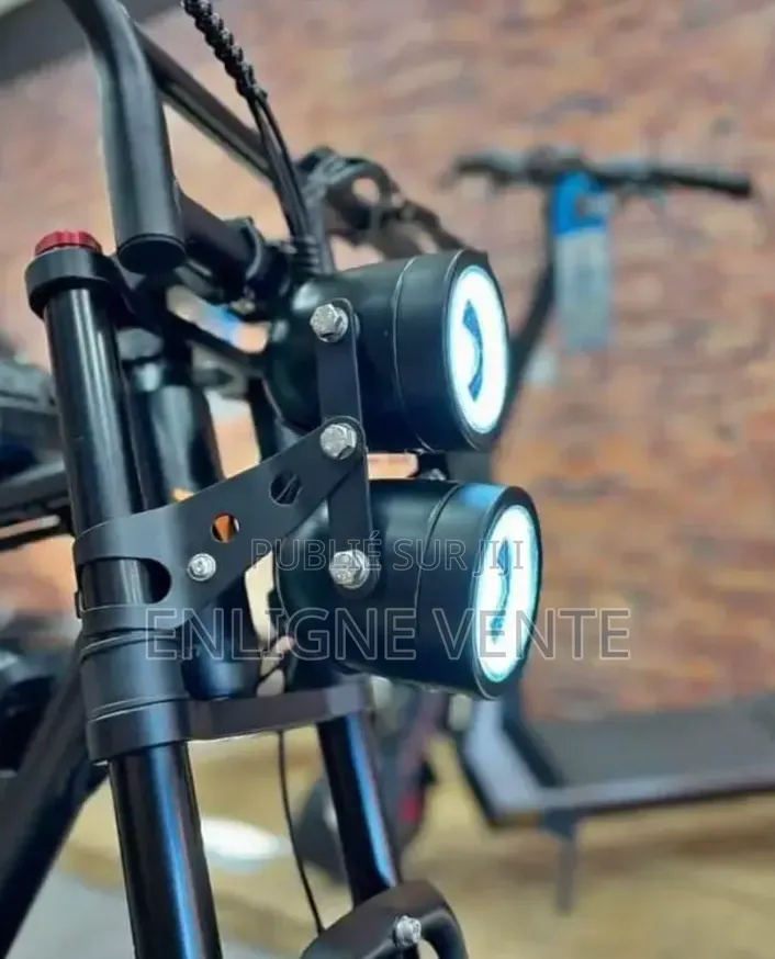 Vélo Électrique