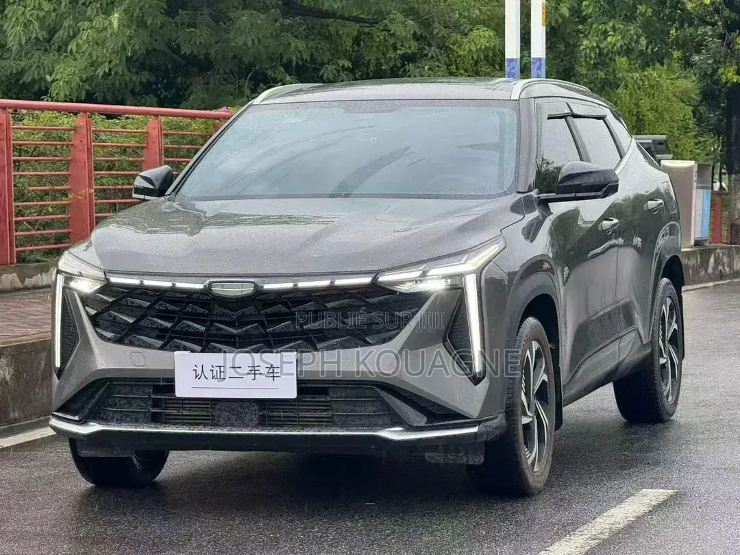 Geely Boyue 2024 Gris