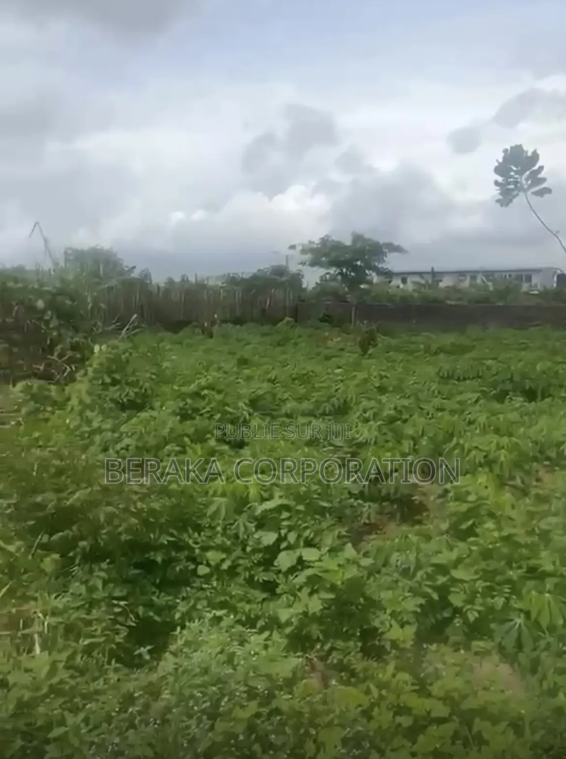 Terrain À Bingerville Adjin Chefferie 500m2 15millions