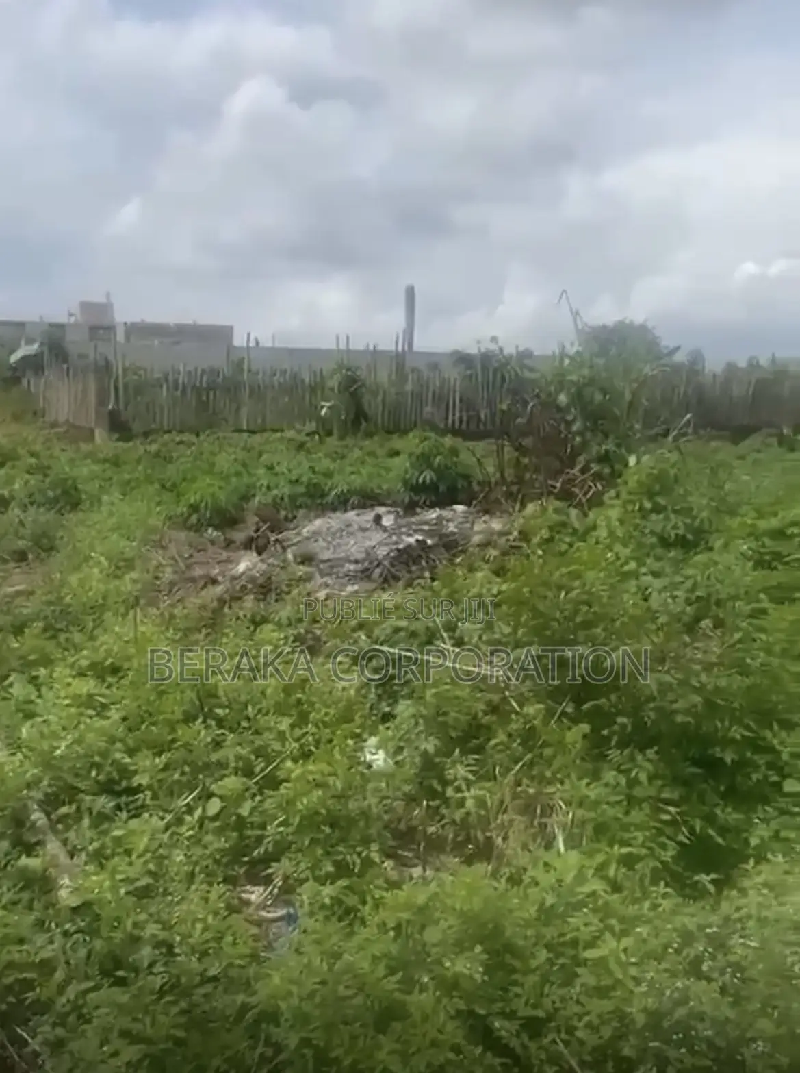 Terrain À Bingerville Adjin Chefferie 500m2 15millions