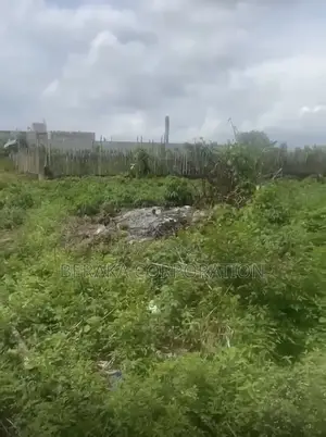 Terrain À Bingerville Adjin Chefferie 500m2 15millions