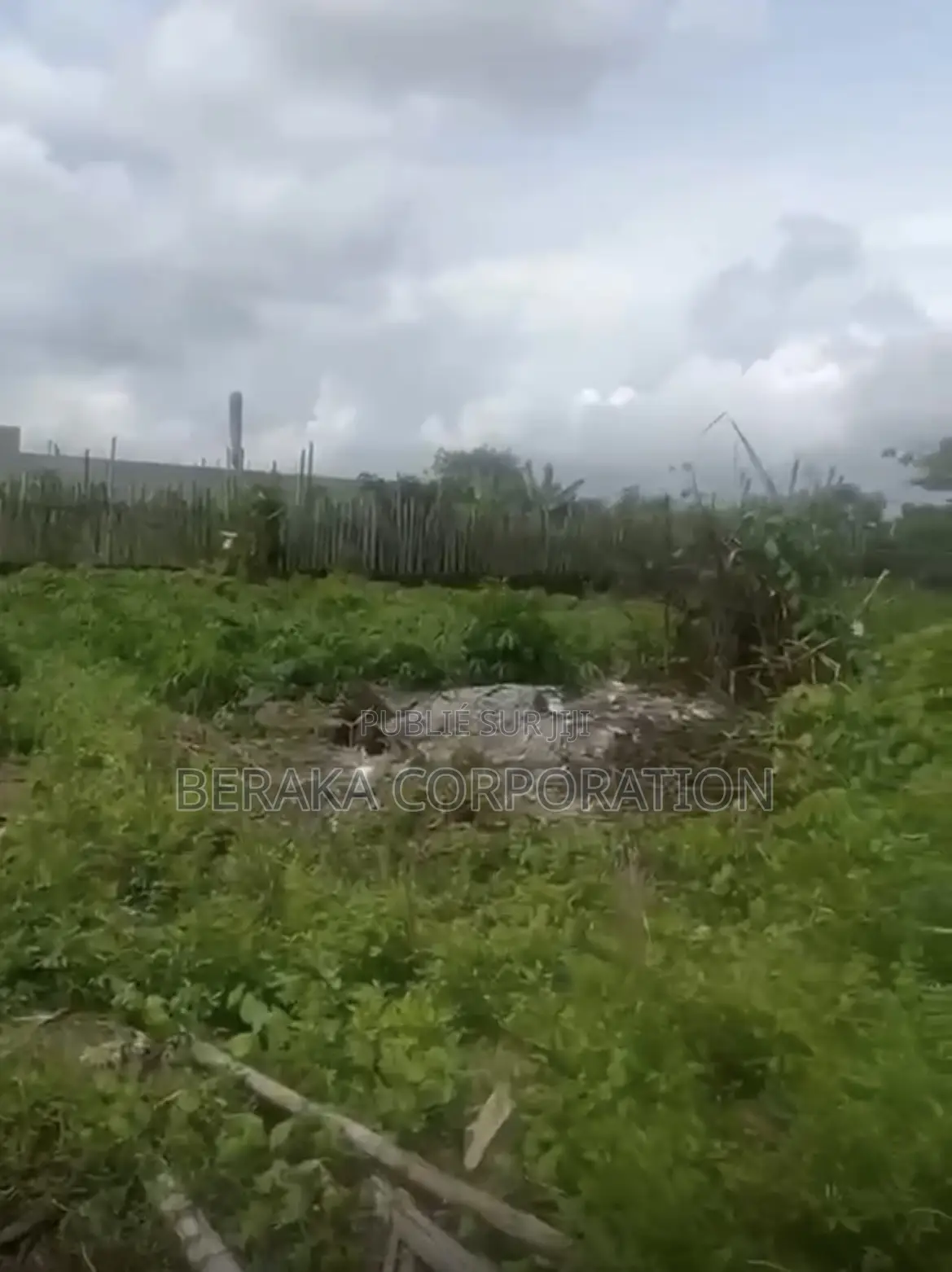 Terrain À Bingerville Adjin Chefferie 500m2 15millions