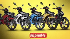 Nouveau KTM Autre 2024 Jaune