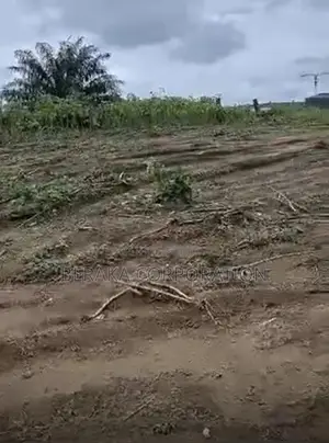2,5 Hectares Avec Acd en Vente Zone Industrielle De Attingue