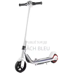 Trottinettes Électrique