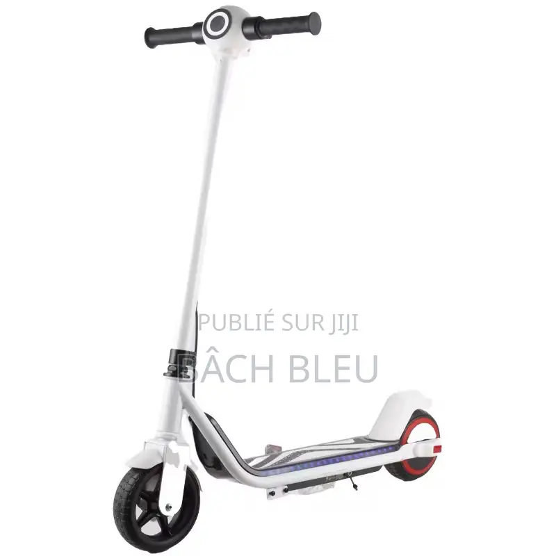 Trottinettes Électrique