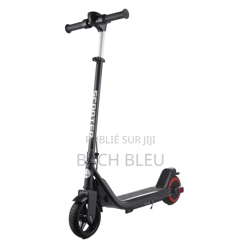 Trottinettes Électrique