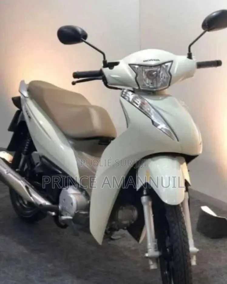 Nouveau American Ironhorse Autre 2023 Argenté