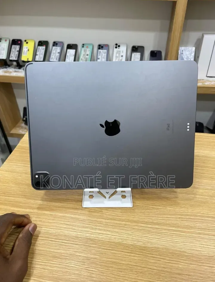 Nouveau Apple iPad Pro 128 GB Rose