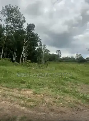 A Vendre en Bordure De l'Autoroute Du Nord