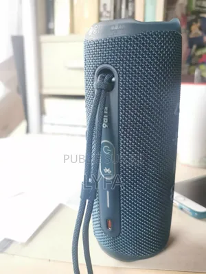 JBL Flip 6