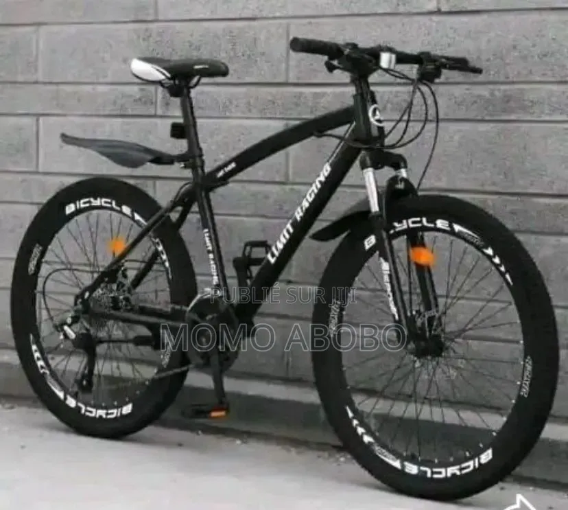 Vélo Électrique