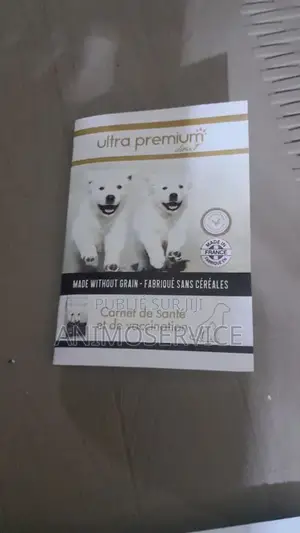1-3 mois Homme Pure race Rottweiler