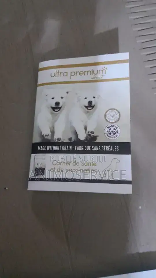 1-3 mois Homme Pure race Rottweiler