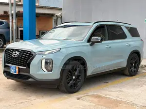 Hyundai Palissade 2021 Gris